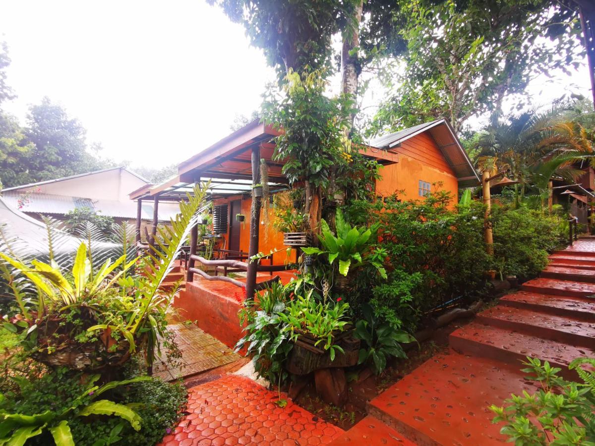 บ้านดินโฮมสเตย์ ปางอุ๋ง Ban Huai Makhuea Som エクステリア 写真