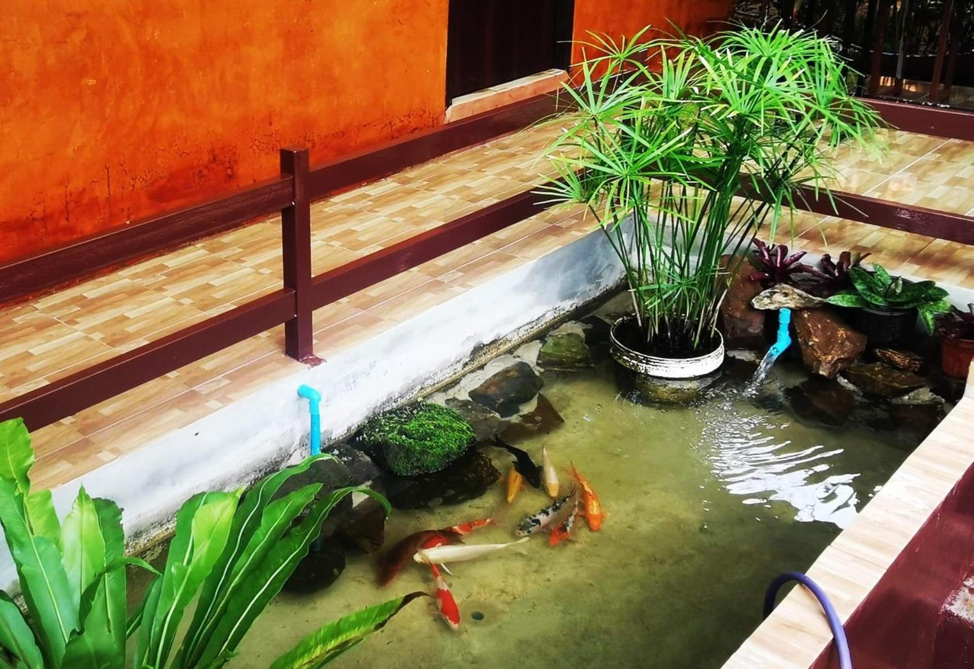 บ้านดินโฮมสเตย์ ปางอุ๋ง Ban Huai Makhuea Som エクステリア 写真