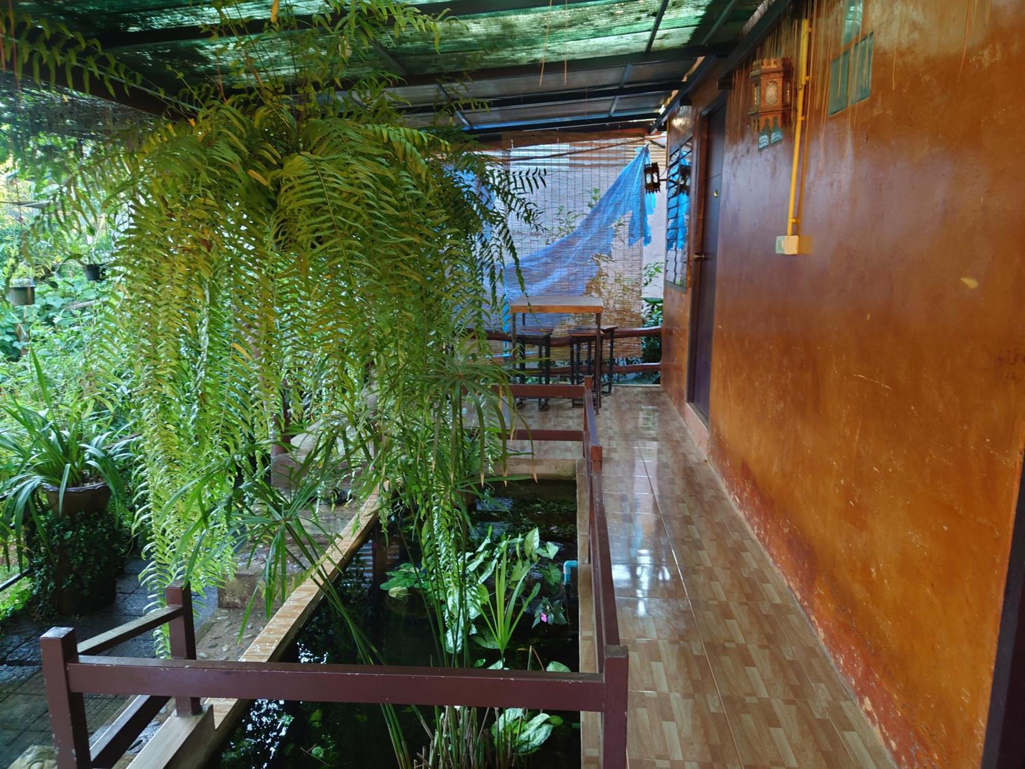 บ้านดินโฮมสเตย์ ปางอุ๋ง Ban Huai Makhuea Som エクステリア 写真